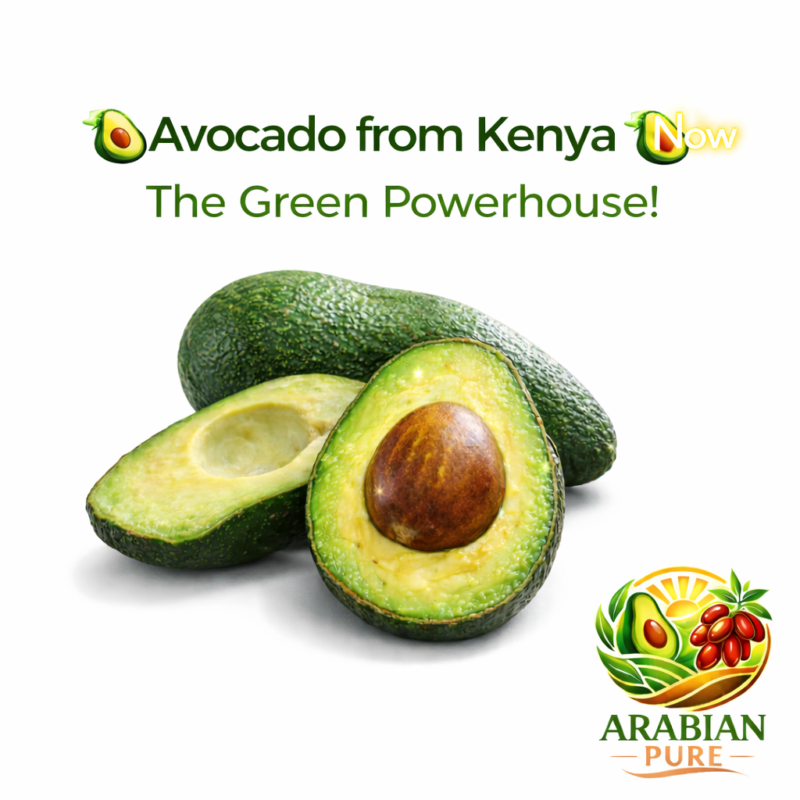 Kenyan avocados_ the green powerhouse